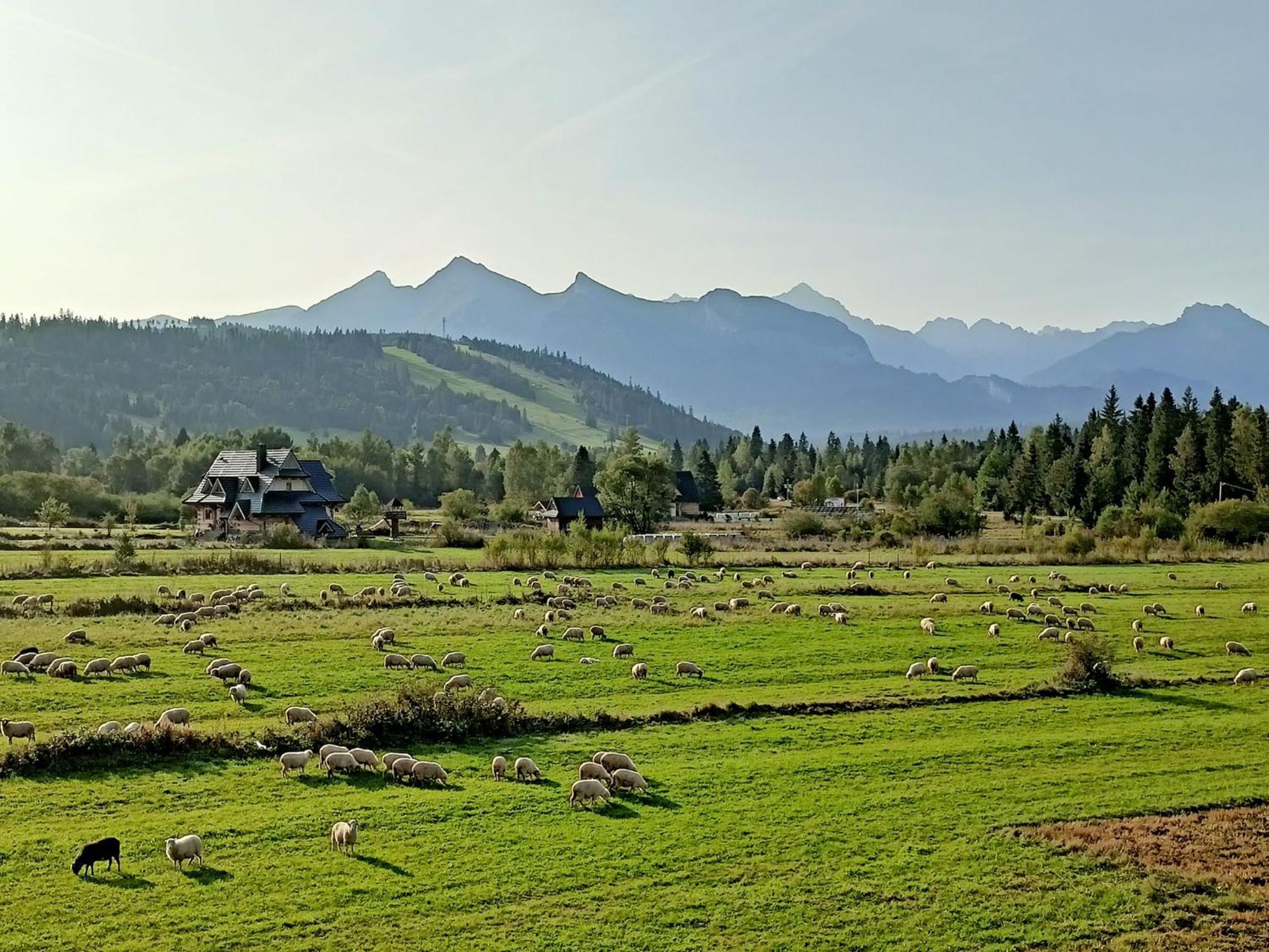 Domek Z Goralska Dusza Sleboda Jurgów Esterno foto